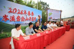 将茶园参不雅、采